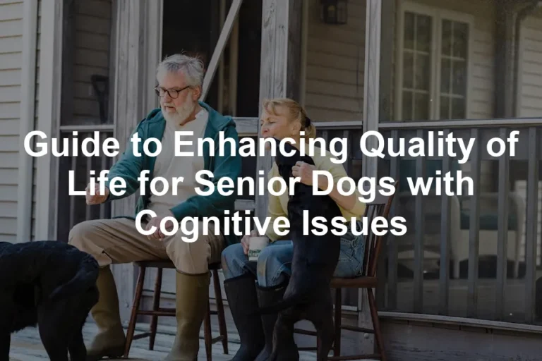 Featured image for Guide to Enhancing Quality of Life for Senior Dogs with Cognitive Issues