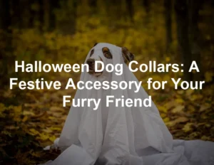 Featured image for Halloween Dog Collars: A Festive Accessory for Your Furry Friend