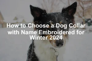 Featured image for How to Choose a Dog Collar with Name Embroidered for Winter 2024