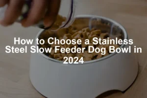 Featured image for How to Choose a Stainless Steel Slow Feeder Dog Bowl in 2024