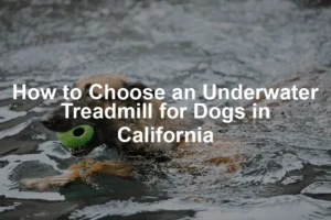 Featured image for How to Choose an Underwater Treadmill for Dogs in California