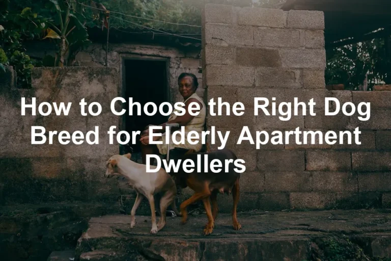 Featured image for How to Choose the Right Dog Breed for Elderly Apartment Dwellers