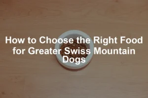 Featured image for How to Choose the Right Food for Greater Swiss Mountain Dogs