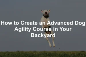Featured image for How to Create an Advanced Dog Agility Course in Your Backyard