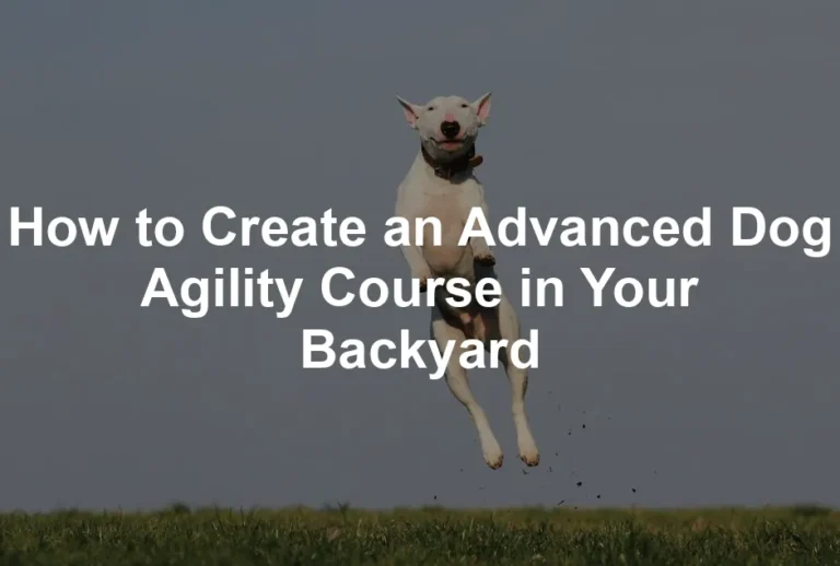 Featured image for How to Create an Advanced Dog Agility Course in Your Backyard