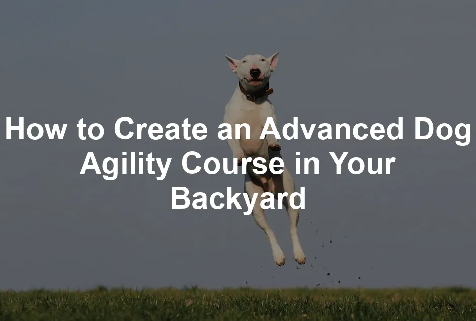 Featured image for How to Create an Advanced Dog Agility Course in Your Backyard