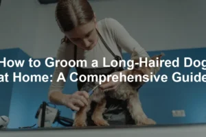 Featured image for How to Groom a Long-Haired Dog at Home: A Comprehensive Guide