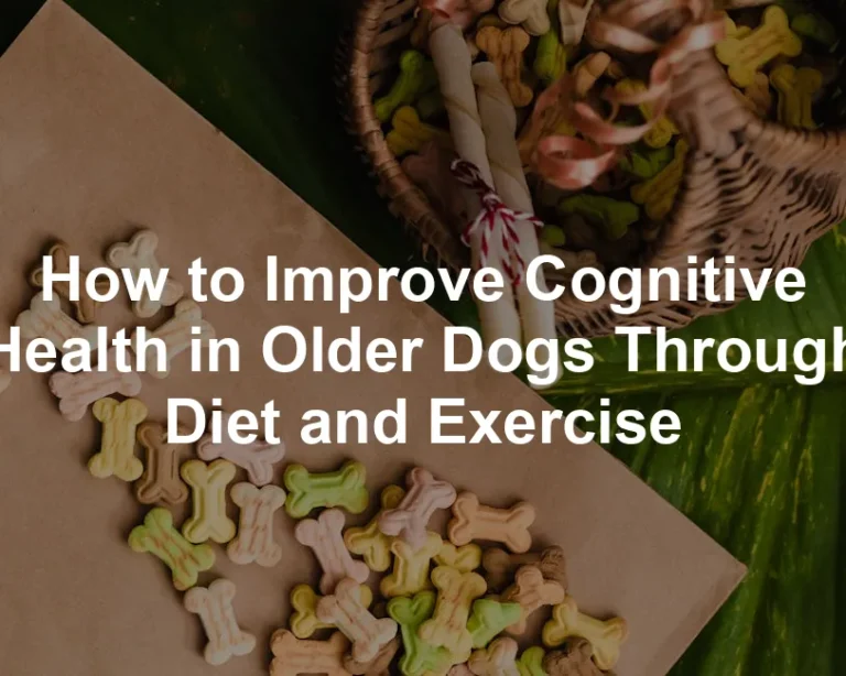 Featured image for How to Improve Cognitive Health in Older Dogs Through Diet and Exercise