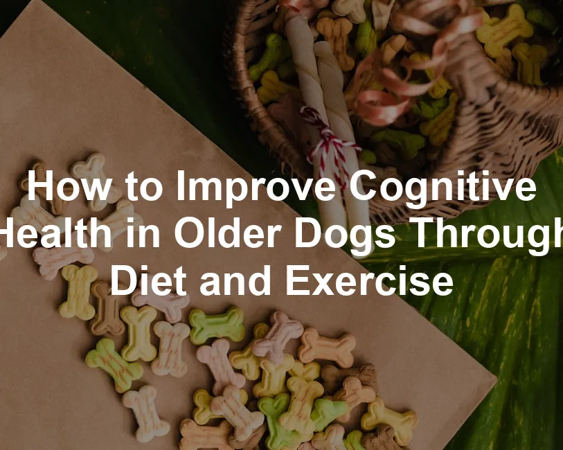 Featured image for How to Improve Cognitive Health in Older Dogs Through Diet and Exercise