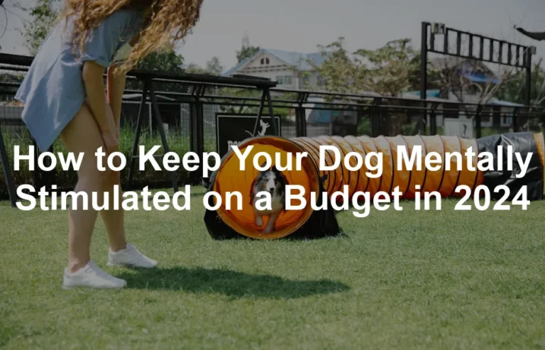 Featured image for How to Keep Your Dog Mentally Stimulated on a Budget in 2024