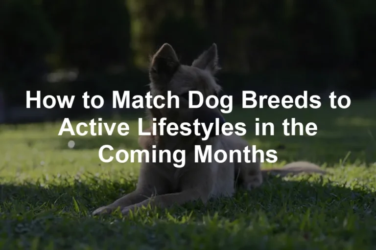 Featured image for How to Match Dog Breeds to Active Lifestyles in the Coming Months