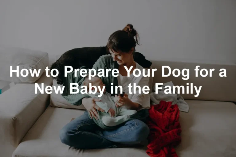 Featured image for How to Prepare Your Dog for a New Baby in the Family