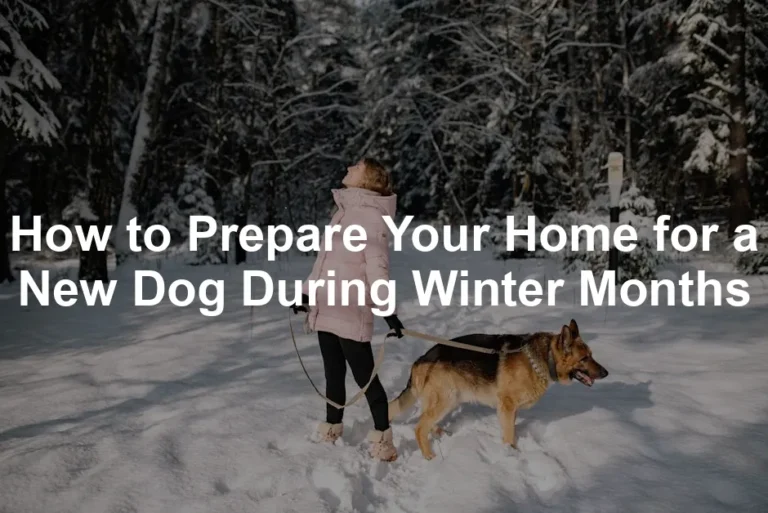 Featured image for How to Prepare Your Home for a New Dog During Winter Months