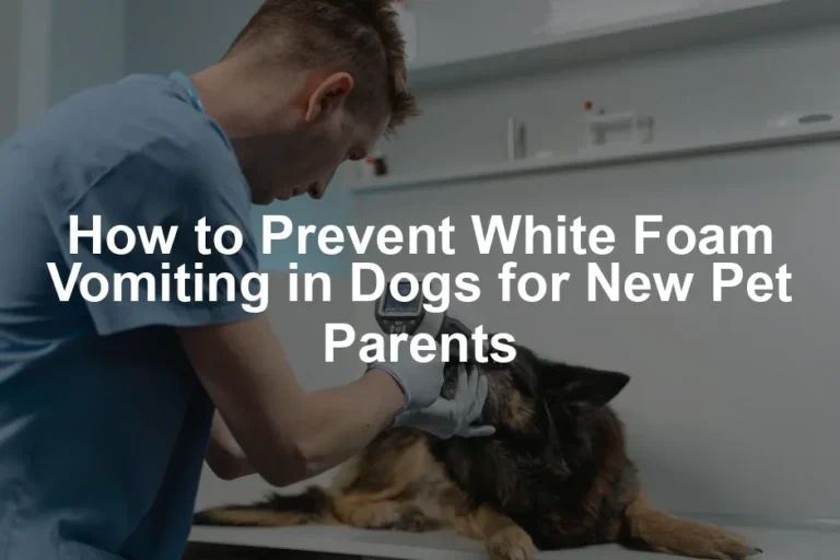 Featured image for How to Prevent White Foam Vomiting in Dogs for New Pet Parents