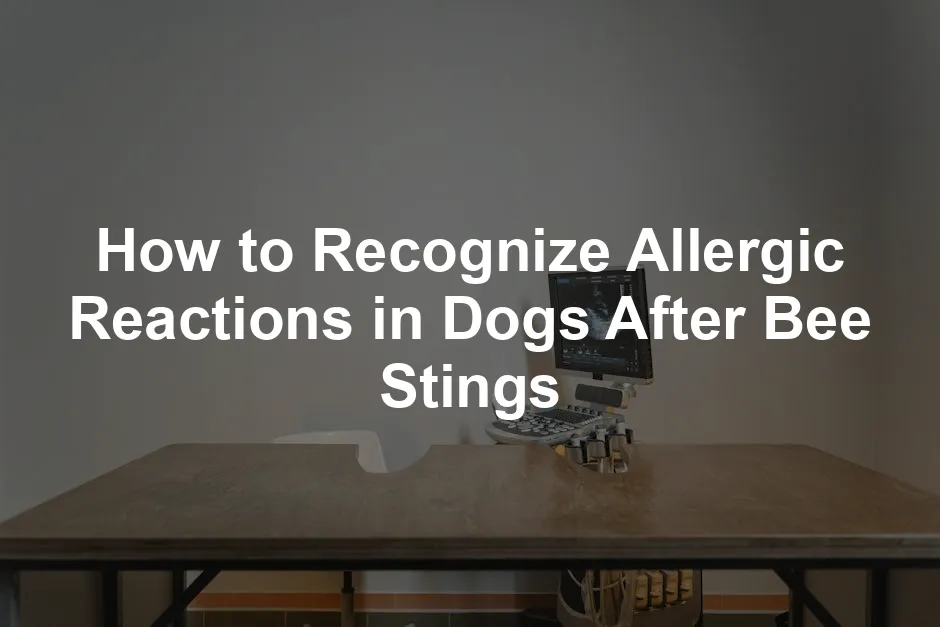 Featured image for How to Recognize Allergic Reactions in Dogs After Bee Stings