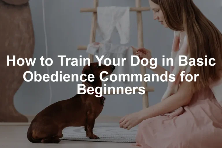 Featured image for How to Train Your Dog in Basic Obedience Commands for Beginners