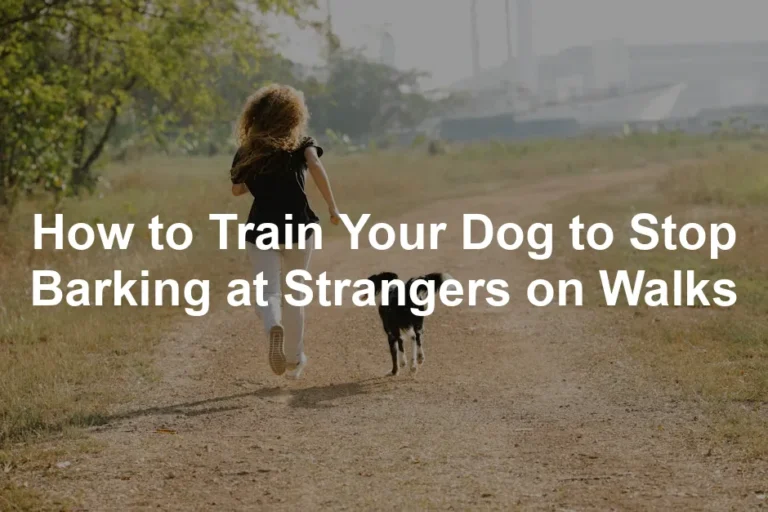 Featured image for How to Train Your Dog to Stop Barking at Strangers on Walks