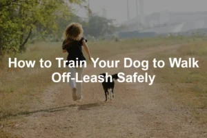 Featured image for How to Train Your Dog to Walk Off-Leash Safely