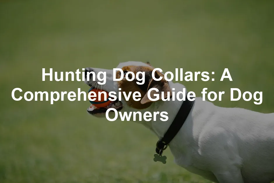 Featured image for Hunting Dog Collars: A Comprehensive Guide for Dog Owners