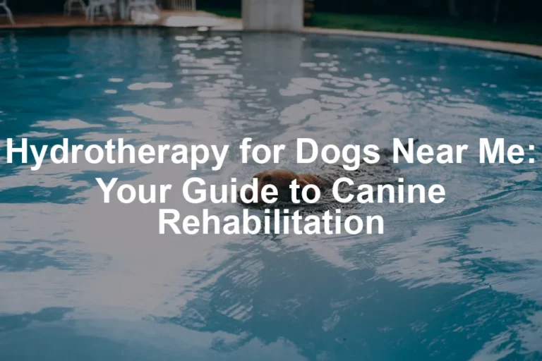 Featured image for Hydrotherapy for Dogs Near Me: Your Guide to Canine Rehabilitation