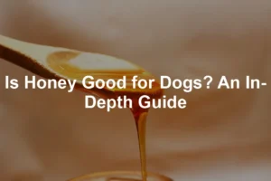 Featured image for Is Honey Good for Dogs? An In-Depth Guide