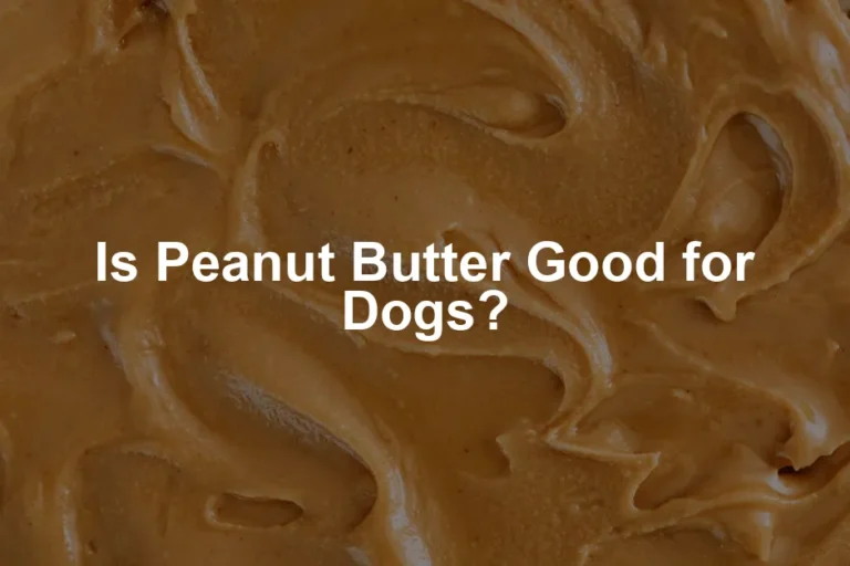 Featured image for Is Peanut Butter Good for Dogs?