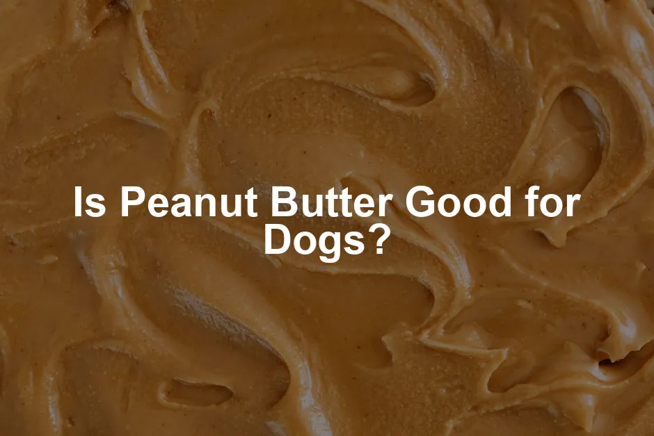Featured image for Is Peanut Butter Good for Dogs?