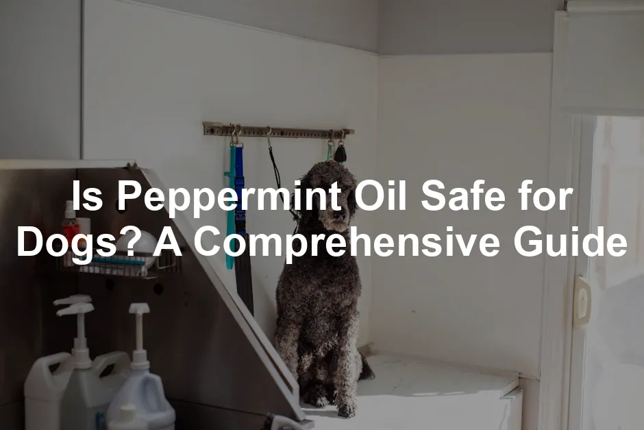 Featured image for Is Peppermint Oil Safe for Dogs? A Comprehensive Guide