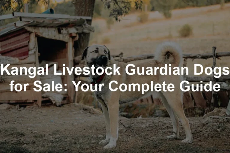 Featured image for Kangal Livestock Guardian Dogs for Sale: Your Complete Guide