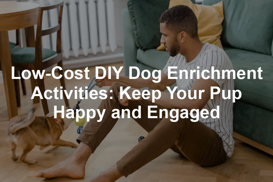 Featured image for Low-Cost DIY Dog Enrichment Activities: Keep Your Pup Happy and Engaged