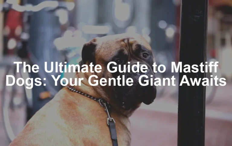 Featured image for The Ultimate Guide to Mastiff Dogs: Your Gentle Giant Awaits