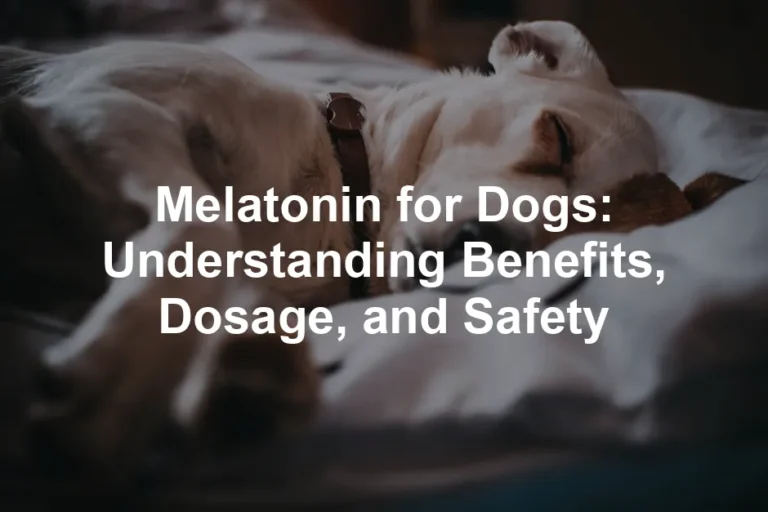 Featured image for Melatonin for Dogs: Understanding Benefits, Dosage, and Safety