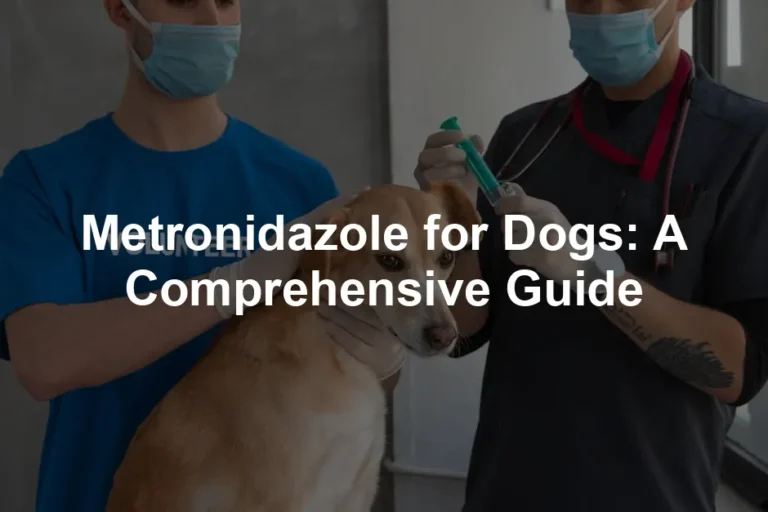 Featured image for Metronidazole for Dogs: A Comprehensive Guide