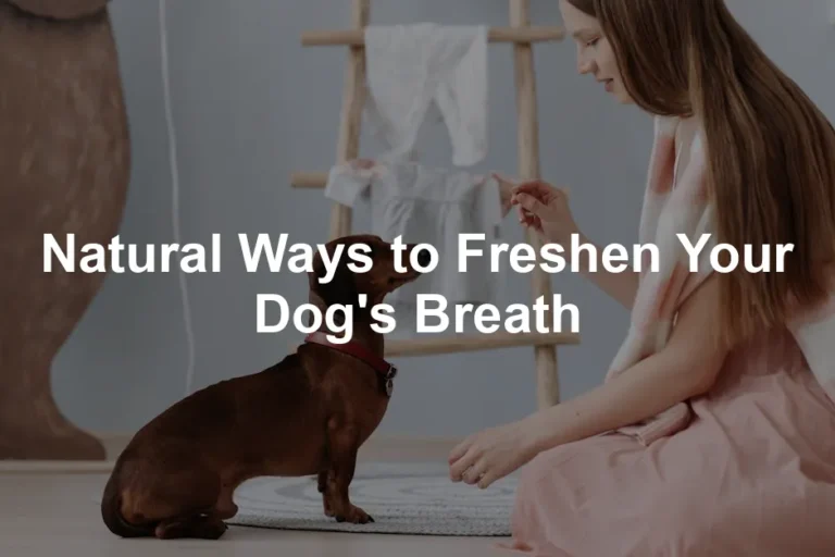 Featured image for Natural Ways to Freshen Your Dog's Breath