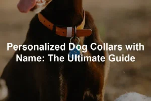 Featured image for Personalized Dog Collars with Name: The Ultimate Guide