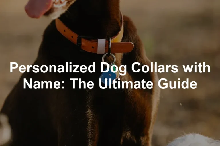 Featured image for Personalized Dog Collars with Name: The Ultimate Guide