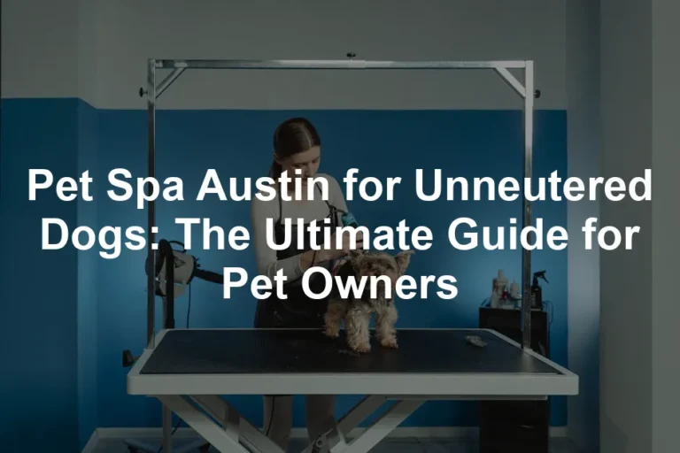 Featured image for Pet Spa Austin for Unneutered Dogs: The Ultimate Guide for Pet Owners