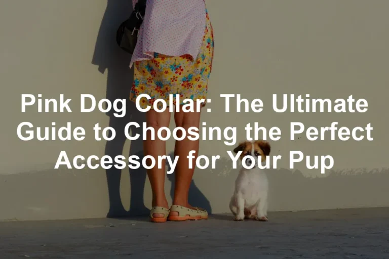 Featured image for Pink Dog Collar: The Ultimate Guide to Choosing the Perfect Accessory for Your Pup