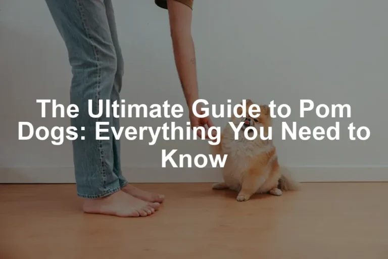 Featured image for The Ultimate Guide to Pom Dogs: Everything You Need to Know