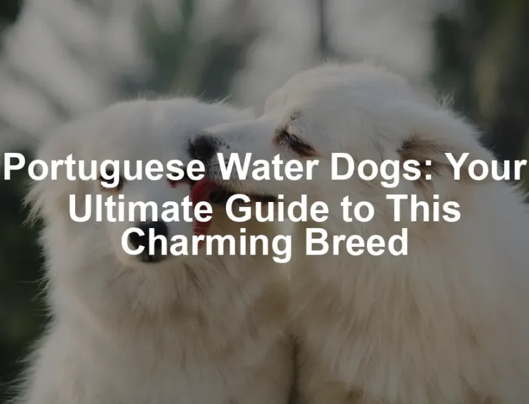 Featured image for Portuguese Water Dogs: Your Ultimate Guide to This Charming Breed