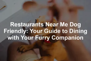 Featured image for Restaurants Near Me Dog Friendly: Your Guide to Dining with Your Furry Companion