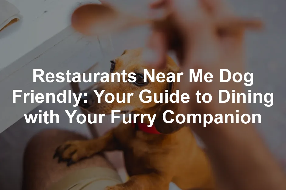 Featured image for Restaurants Near Me Dog Friendly: Your Guide to Dining with Your Furry Companion