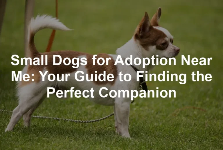 Featured image for Small Dogs for Adoption Near Me: Your Guide to Finding the Perfect Companion