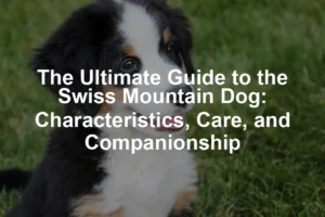 Featured image for The Ultimate Guide to the Swiss Mountain Dog: Characteristics, Care, and Companionship