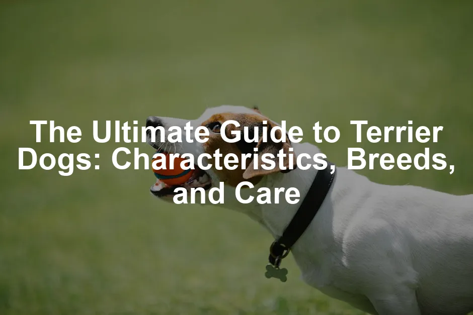 Featured image for The Ultimate Guide to Terrier Dogs: Characteristics, Breeds, and Care
