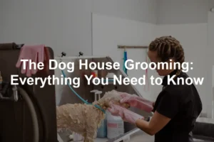 Featured image for The Dog House Grooming: Everything You Need to Know