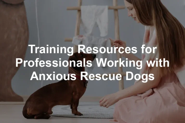Featured image for Training Resources for Professionals Working with Anxious Rescue Dogs