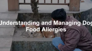 Featured image for Understanding and Managing Dog Food Allergies