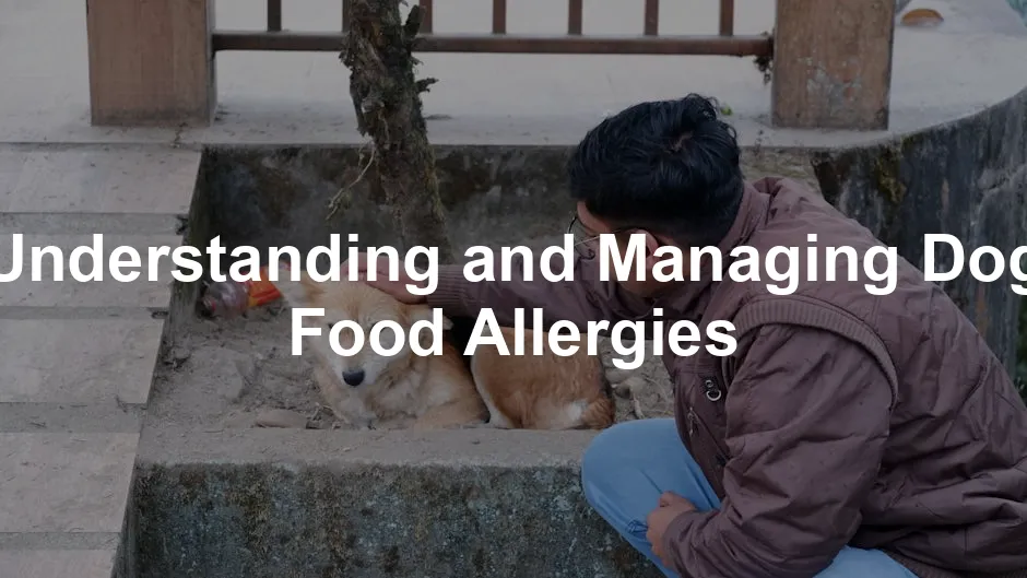 Featured image for Understanding and Managing Dog Food Allergies