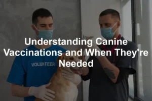 Featured image for Understanding Canine Vaccinations and When They're Needed